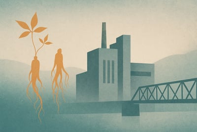 North Korea Skincare: Survival Through Crisis